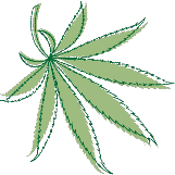 Leef Img 1